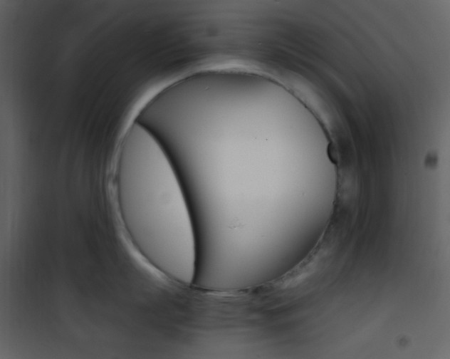 X0000101950863200807171132