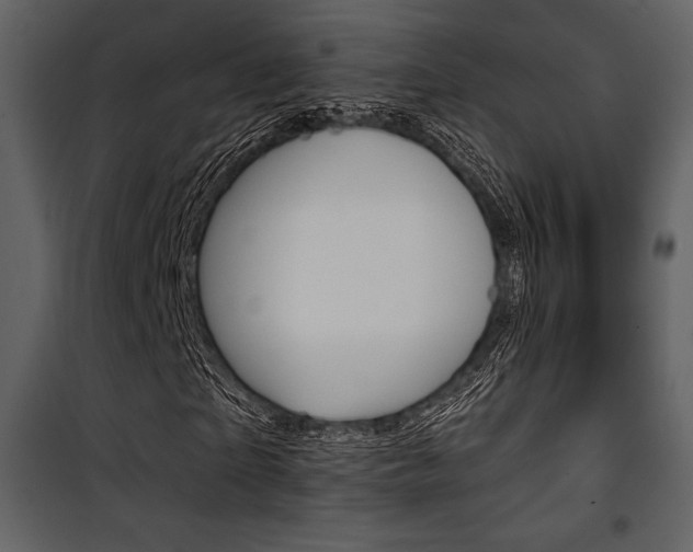 X0000101950865200807171131