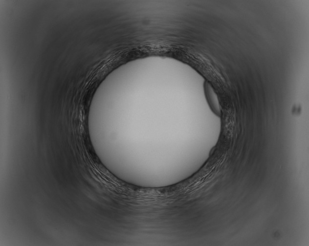 X0000101950866200807171131