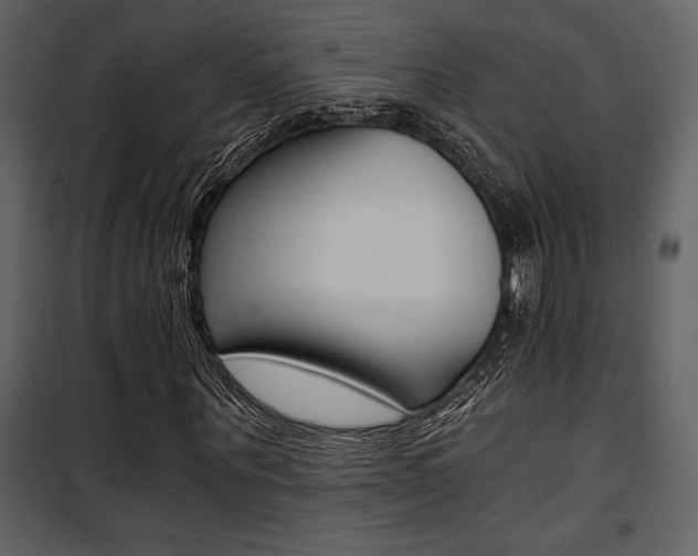X0000101950867200807171131