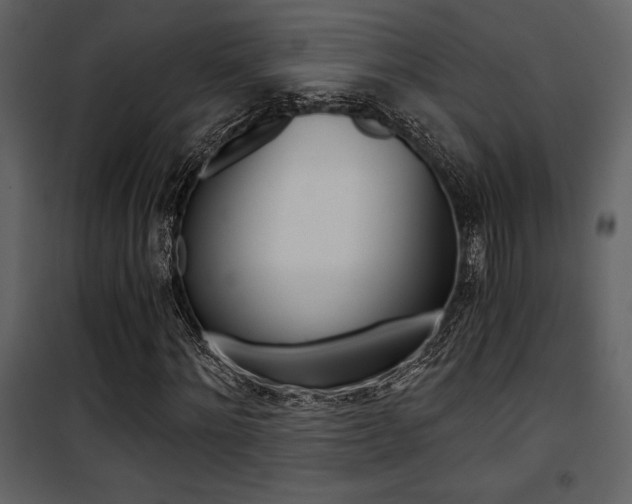 X0000101950868200807171131