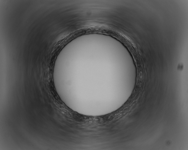 X0000101950869200807171131