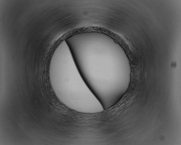 X0000101950871200807171131