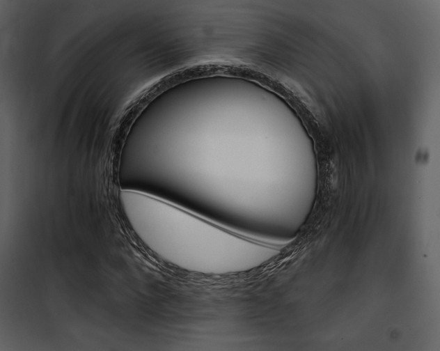 X0000101950872200807171131
