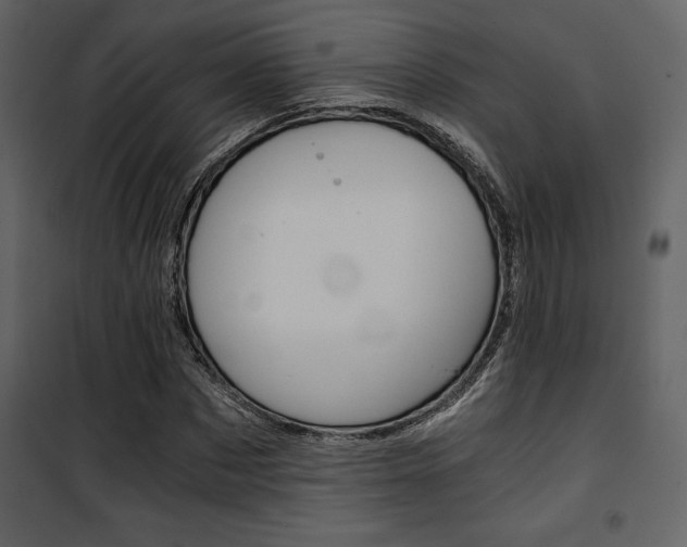 X0000101950873200807171131