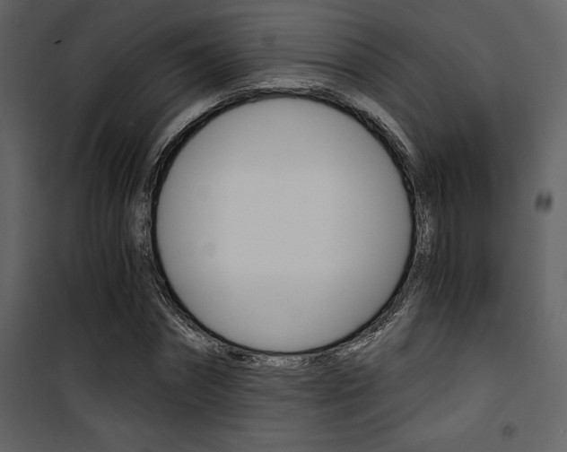 X0000101950874200807171131