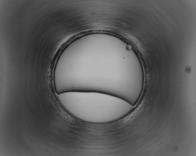 X0000101950875200807171131