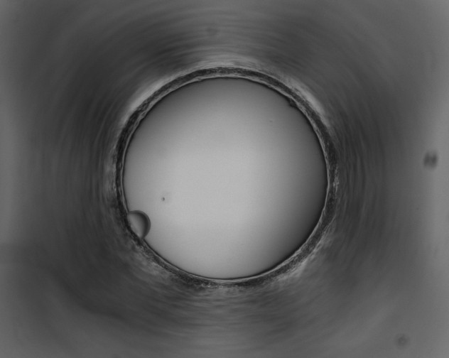 X0000101950877200807171131