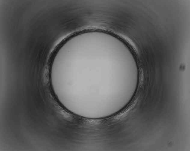 X0000101950878200807171131