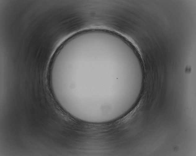 X0000101950879200807171131