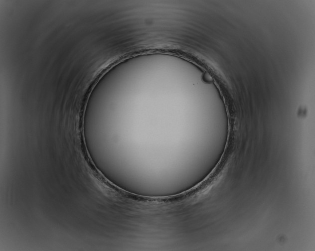 X0000101950881200807171131