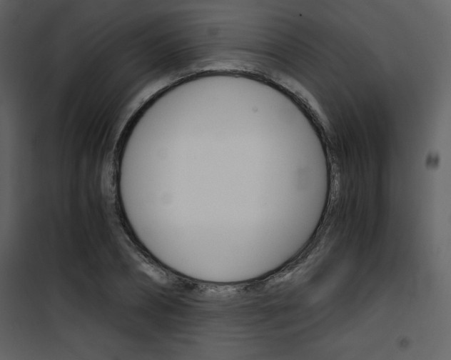 X0000101950882200807171131