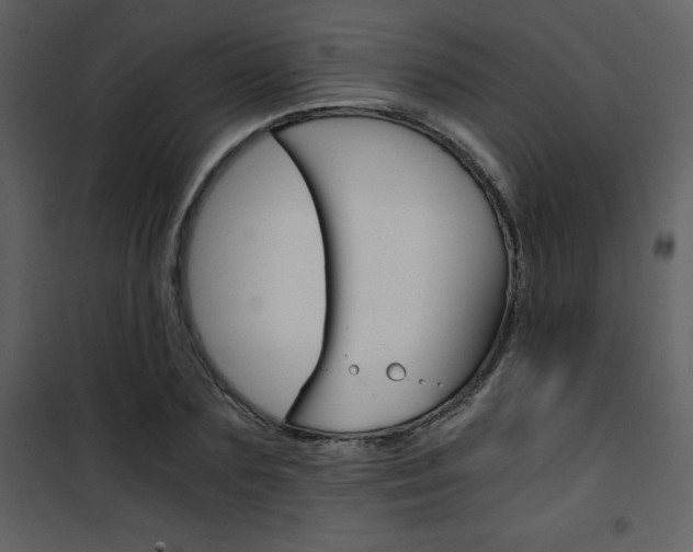 X0000101950883200807171131
