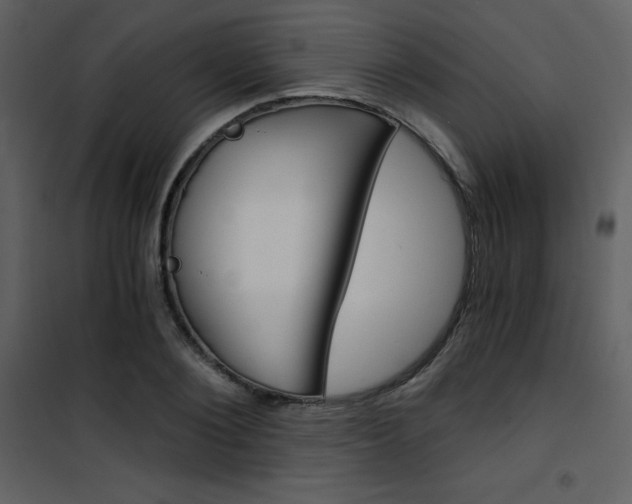 X0000101950884200807171131