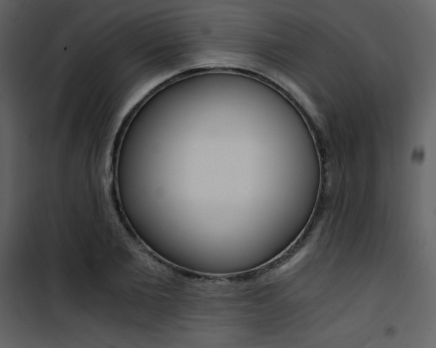 X0000101950885200807171131