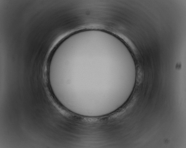 X0000101950886200807171131