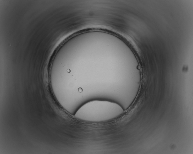 X0000101950887200807171131