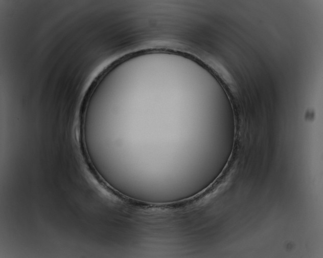 X0000101950888200807171131