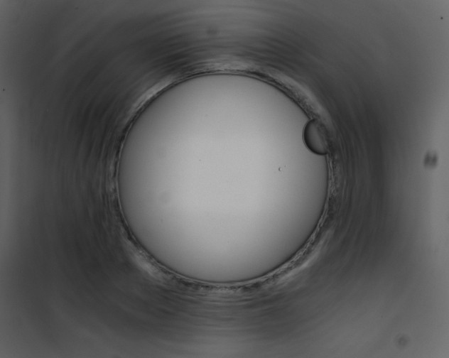 X0000101950889200807171131