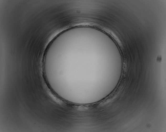 X0000101950890200807171131