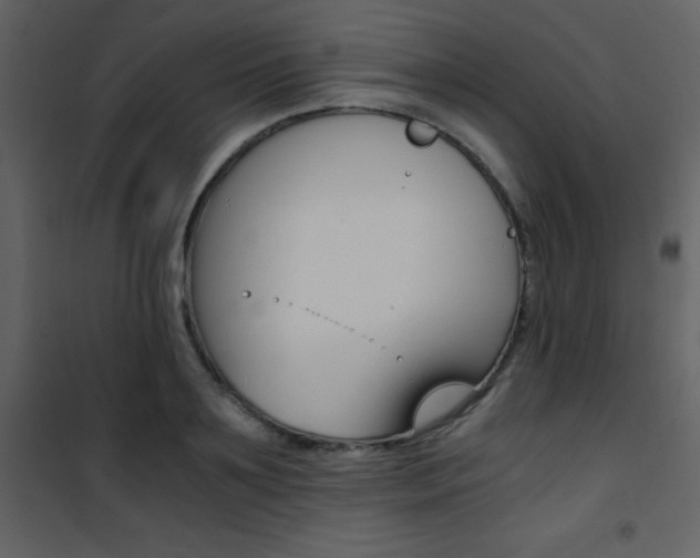 X0000101950891200807171131