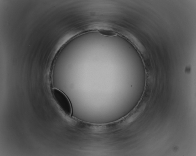 X0000101950893200807171130