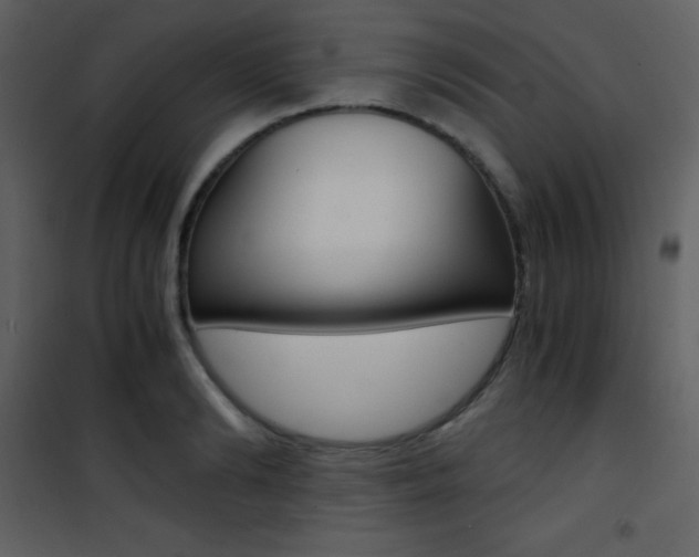 X0000101950894200807171130