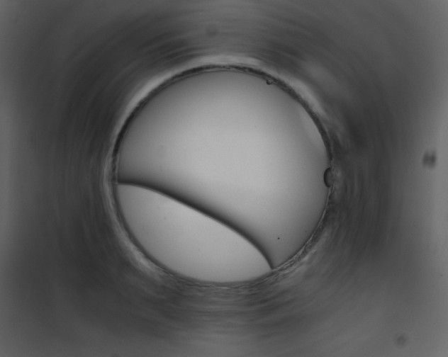 X0000101950895200807171130