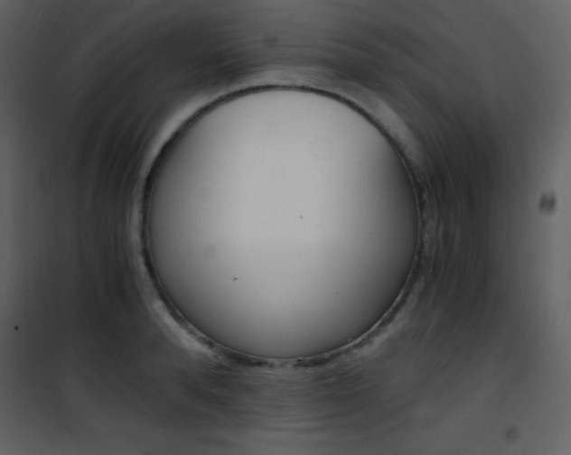 X0000101950896200807171130