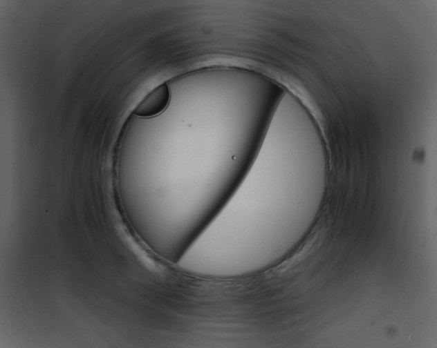 X0000101950898200807171130