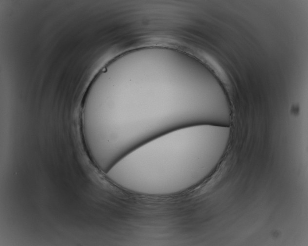 X0000101950899200807171130