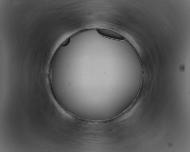 X0000101950901200807171130