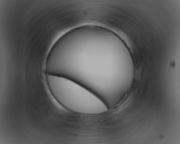 X0000101950903200807171130