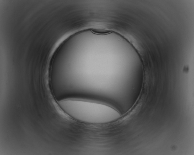 X0000101950904200807171130