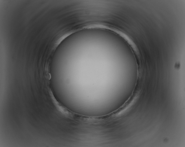 X0000101950905200807171130