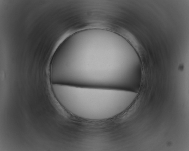 X0000101950907200807171130
