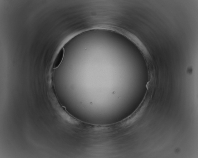 X0000101950908200807171130