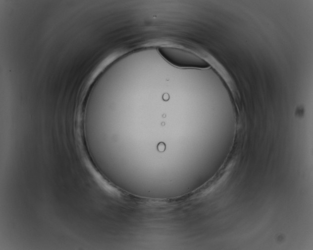 X0000101950909200807171130
