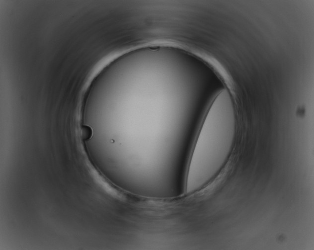 X0000101950910200807171130