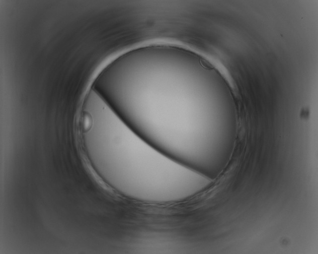 X0000101950911200807171130