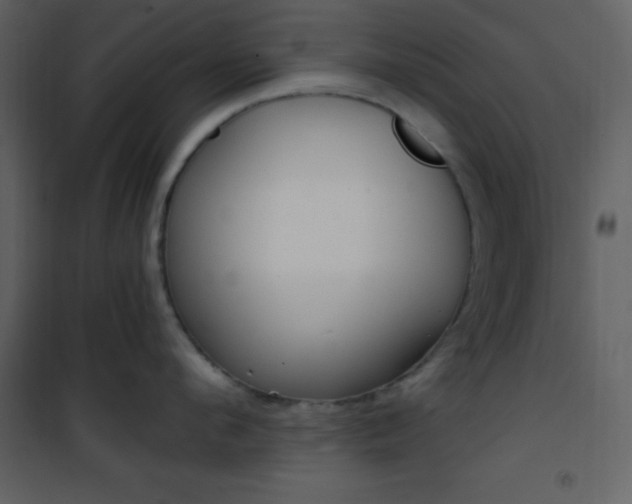X0000101950912200807171130