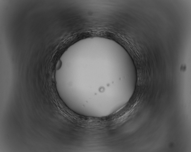 X0000101950913200807171129
