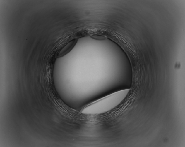 X0000101950914200807171129