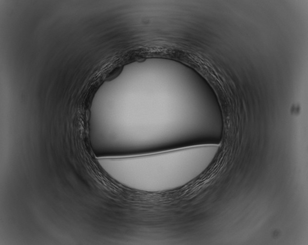 X0000101950916200807171129