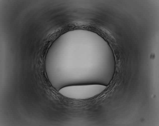 X0000101950917200807171129