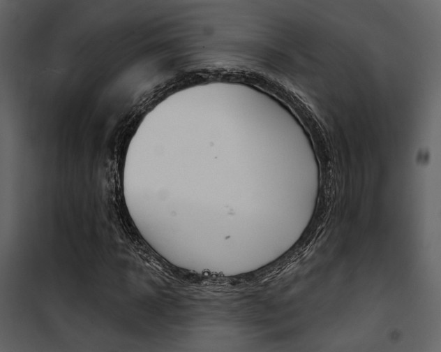 X0000101950918200807171130