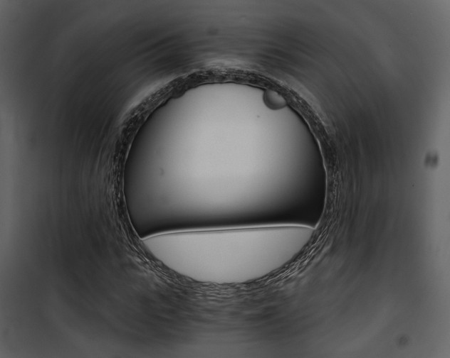 X0000101950919200807171130