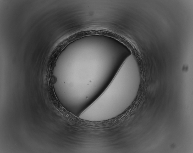 X0000101950920200807171130