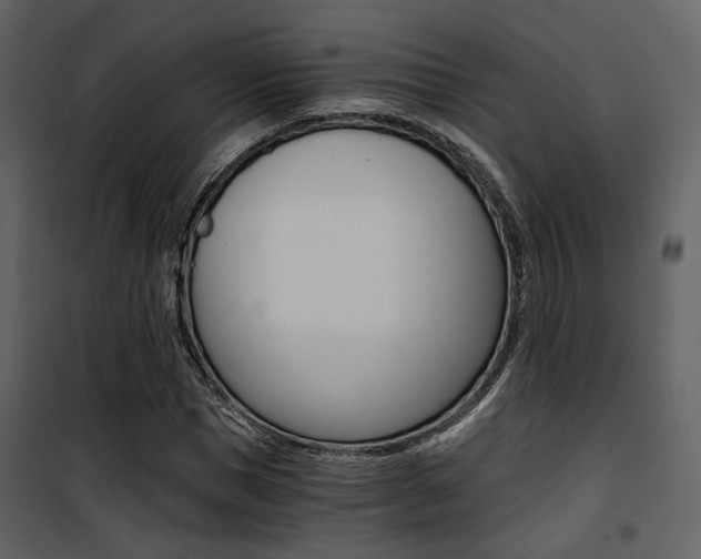 X0000101950921200807171130