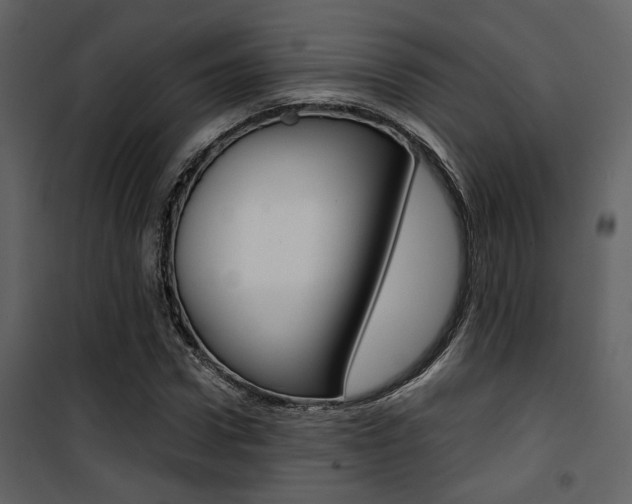 X0000101950922200807171130